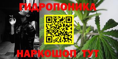 герыч Можга