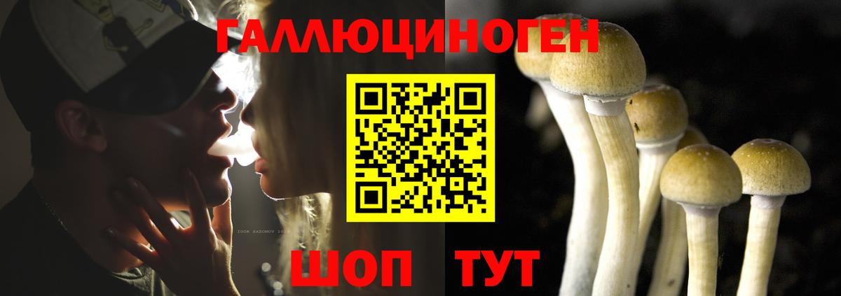 Псилоцибиновые грибы MAGIC MUSHROOMS  Галлюциногенные грибы мицелий  Вход с VPN  Сочи 