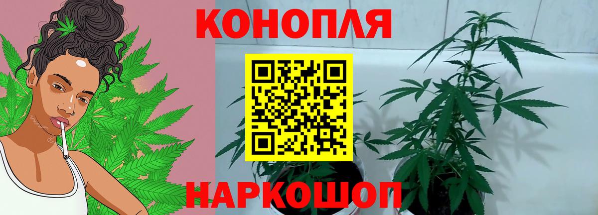 МАРИХУАНА Amnesia  Вход с VPN  Сочи  Каннабис ГИДРОПОН  Канабис White Widow 